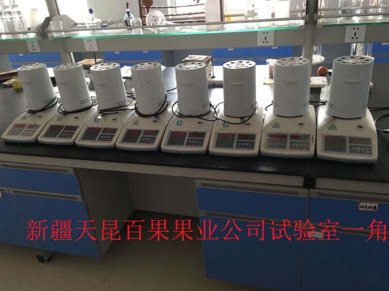 SFY-6紅棗水分檢測儀